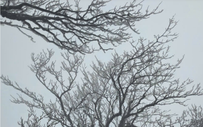 Đợt không khí lạnh mới cực mạnh bao phủ, miền Bắc chuyển rét đậm, có nơi dưới 8 độ