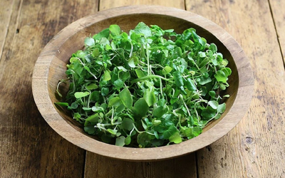 Loại rau nhiều người Việt "né" nhưng Mỹ ca ngợi thuộc top tốt "bậc nhất thế giới"