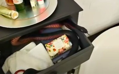 Cụ bà sợ hãi khi phát hiện thứ đáng sợ bò vào phòng tắm