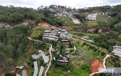 Rủi ro từ homestay, quán cà phê xây dựng trên sườn đồi: Sở Xây dựng Lâm Đồng lên tiếng