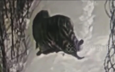 Nhìn ra ngoài cửa sổ, người dân chứng kiến cảnh tượng “nổi da gà”