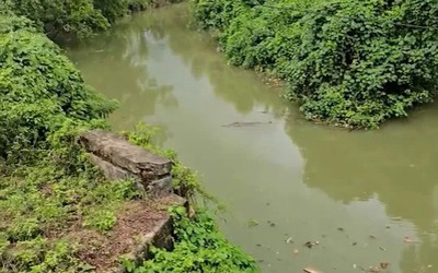 Đang giặt quần áo, cậu bé bị thứ đáng sợ cắn tử vong trên sông