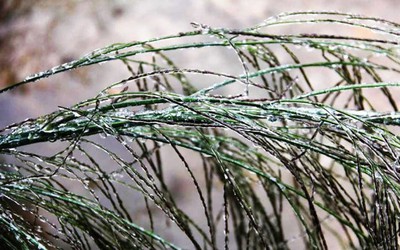 Dự báo thời tiết 7/1: Không khí lạnh khiến miền Bắc rét đậm, rét hại, có nơi dưới 3 độ