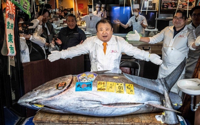 Người đàn ông xuống tiền mua con cá nặng 242kg giá 85 tỷ đồng