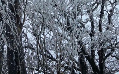 Không khí lạnh tăng cường, rét đậm lan rộng, nhiều nơi xuống dưới -3 độ C