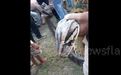 Đang làm việc, người phụ nữ hoảng sợ thấy cảnh tượng "nổi da gà"