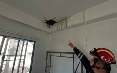 Đang sửa trần nhà, người phụ nữ phát hiện ra thứ đáng sợ