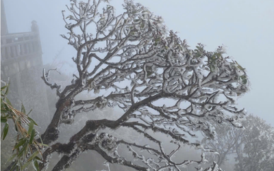 Dự báo thời tiết 10/1: Miền Bắc rét buốt đỉnh điểm, khối khí lạnh tăng cường xuống Trung Bộ