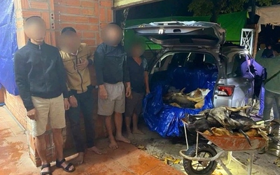 Đột kích 2 điểm nghi trộm cắp, tạm giữ 9 đối tượng cùng 1,5 tấn chó