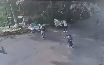 Cây xanh cao 30 mét đổ xuống đường, đè trúng nhiều người