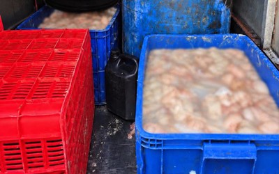 Kiểm tra xe tải, phát hiện thứ đáng sợ trong 7 thùng phi