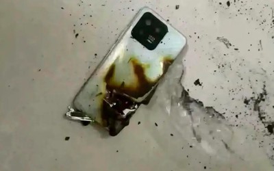 Bị gấu tấn công, cậu bé sống sót khi điện thoại phát nổ trong túi quần