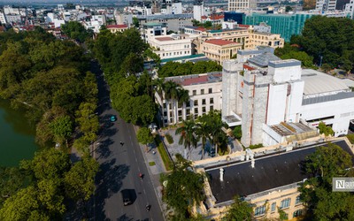 Hà Nội định hướng mỗi tuyến phố trồng một loài cây xanh chủ đạo