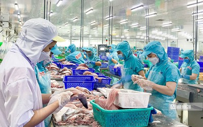 Xuất khẩu thủy sản sang Anh sắp có thêm yêu cầu về hồ sơ IUU