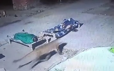 Camera giám sát ghi lại được cảnh tượng nổi da gà trong đêm