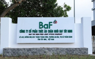 BAF huy động gần 688 tỷ đồng, phần lớn phục vụ vốn lưu động và trả công nợ