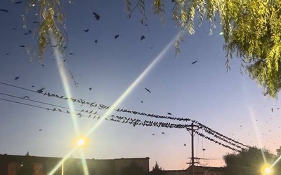 Nhìn lên bầu trời, người dân chứng kiến cảnh tượng kỳ lạ