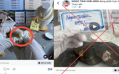 Cảnh báo thủ đoạn lừa đảo qua livestream "mở ngọc trai"