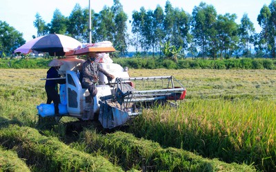 Chủ tịch Hà Nội: Không để người nông dân bị bỏ lại phía sau trong quá trình đô thị hóa