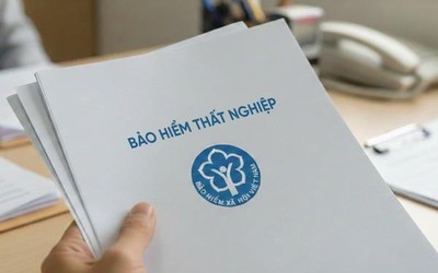 Đang hưởng trợ cấp thất nghiệp mà có việc làm mới, người lao động cần làm gì?