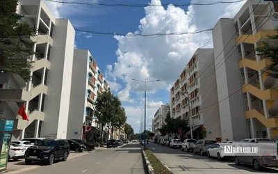 Tp.HCM cần mở rộng nhà ở cho thuê để giảm áp lực an cư