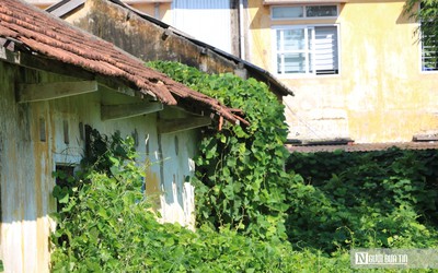 Hiện trạng khu nhà đất công gần 6.000m² ở Huế vừa đổi chủ quản sau thời gian dài xuống cấp