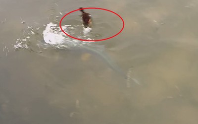Người dân ghi lại cảnh tượng "nổi da gà" trên mặt hồ tĩnh lặng