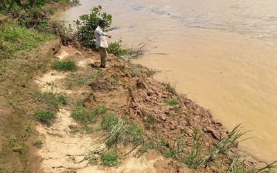 Sông Thạch Hãn sạt lở nghiêm trọng, người dân thấp thỏm lo mất đất, mất nhà