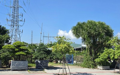 Đà Nẵng cho thuê hàng trăm tài sản công: Nhà nước tránh lãng phí, người dân thêm cơ hội kinh doanh