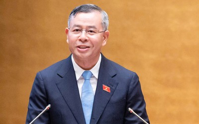 "Doanh nghiệp một người" không bắt buộc phải có Chủ tịch, Kế toán trưởng