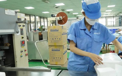 SGI Holdings thành công gom thêm hơn 1,2 triệu cổ phiếu Bông Bạch Tuyết