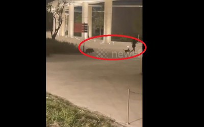 Dắt chó đi dạo, người phụ nữ bỏ chạy khi chứng kiến cảnh tượng "nổi da gà"