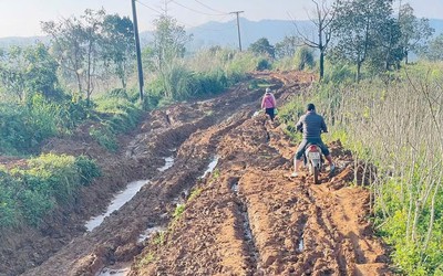 Dự án CRIEM 921 tỷ đồng tại Quảng Trị: Vướng mặt bằng, nhà thầu chưa thể thi công