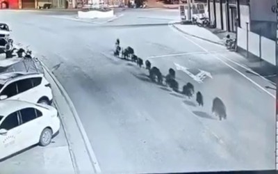 Camera giám sát ghi lại được cảnh tượng bất ngờ trên phố