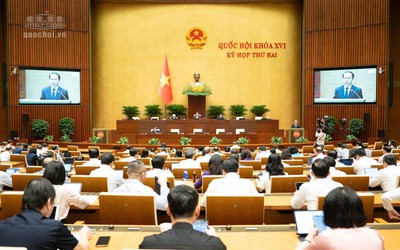 Luật Nuôi con nuôi (sửa đổi): Bổ sung cấm người có án tù treo nhận con nuôi