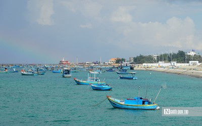 Lâm Đồng siết quản lý tàu cá, ngăn khai thác hải sản trái phép