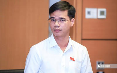 ĐBQH: Cải cách giá điện gắn với bảo đảm khả năng chi trả của người dân