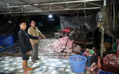 Triệt phá đường dây đưa 400 tấn thịt heo bệnh ra thị trường, thu lợi 10 tỷ đồng