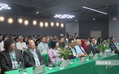 Lạm dụng AI có thể làm suy giảm tư duy độc lập của sinh viên