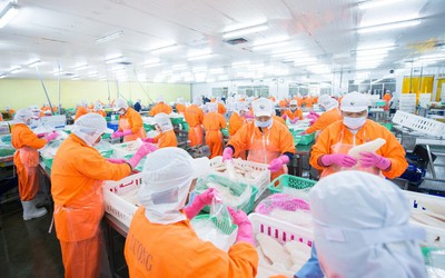 Nam Việt chịu sức ép chi phí, lợi nhuận 9 tháng giảm 28%