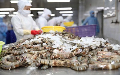 Thực phẩm Sao Ta vượt mục tiêu lợi nhuận năm 2026  sau 9 tháng