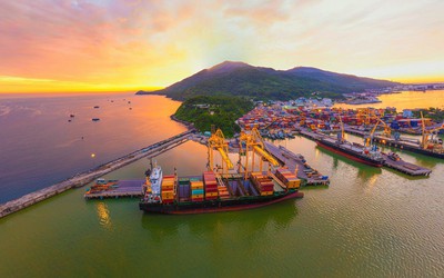 Cảng Đà Nẵng báo lãi lớn quý III/2026, tiền gửi ngắn hạn gần 900 tỷ đồng
