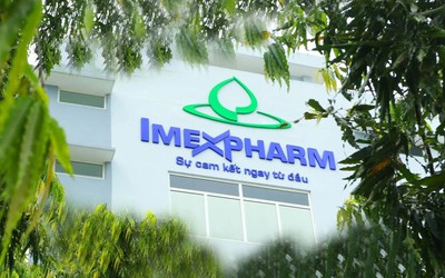 Doanh thu giảm 8%, Imexpharm vẫn lãi 260 tỷ đồng sau 9 tháng