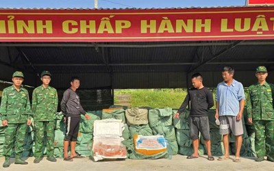Bắt giữ vụ vận chuyển trái phép hơn 6 tấn nầm lợn, trứng gà non đông lạnh