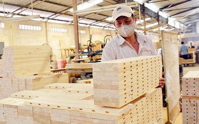 50 mặt hàng của Việt Nam có nguy cơ bị điều tra phòng vệ thương mại