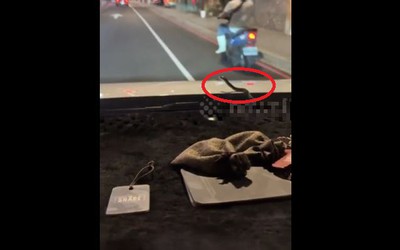 Đang lái xe, tài xế bất ngờ chứng kiến cảnh tượng đáng sợ trước mắt
