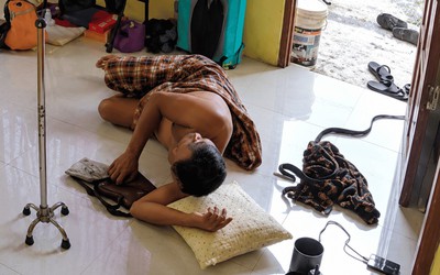 Rắn bò đến gần người đàn ông đang ngủ trưa và cái kết thót tim