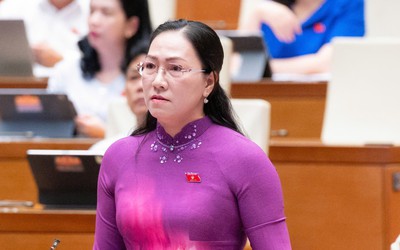 ĐBQH: Chính sách tiền lương, phụ cấp cần đi đôi với hoàn thiện vị trí việc làm