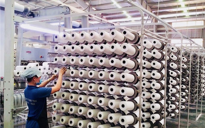 Nhựa Tân Đại Hưng bị phạt vì "vênh" số liệu lợi nhuận hơn 4 tỷ đồng