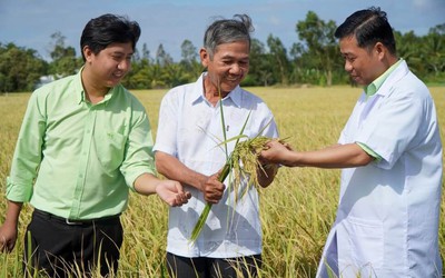 Hàng tồn kho của PAN vượt 4.300 tỷ đồng